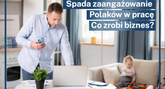 Aktualnosc_SEKA_SA_Spada_zaangazowanie_Polakow_w_prace