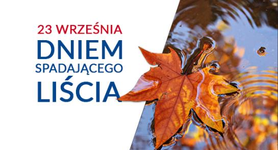 dzien_spadajacego_liscia_zwiazek_z_bhp