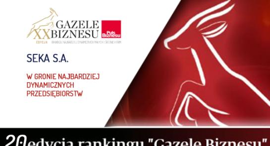 gazele_biznesu_20_edycja_puls_biznesu_seka_sa