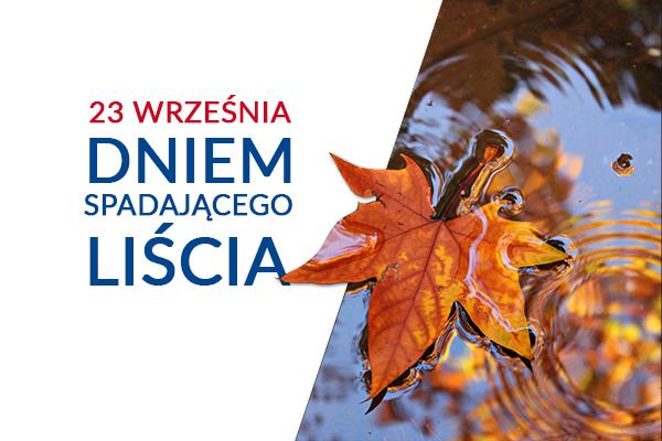 dzien_spadajacego_liscia_zwiazek_z_bhp