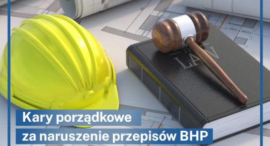 Aktualnosc_SEKA_SA_kary_porzadkowe_naruszenie_przepisow_bhp