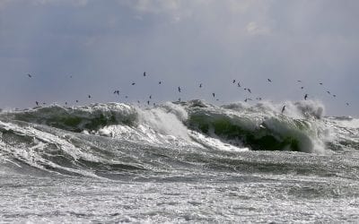 Zagrożenia występujące w Morzu Bałtyckim