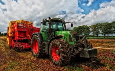 PIP apeluje do rolników o przestrzeganie zasad bhp podczas żniw